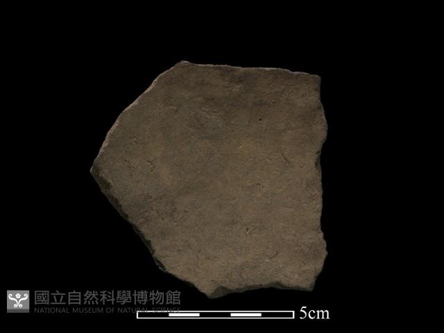 陶片藏品圖，第2張