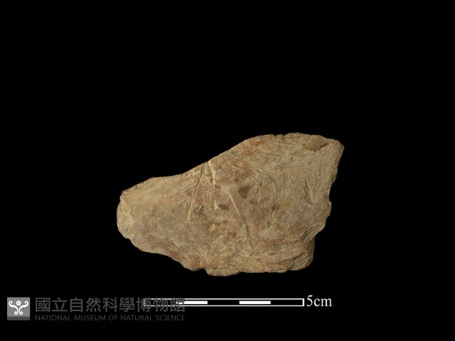帶加工痕石材藏品圖，第2張