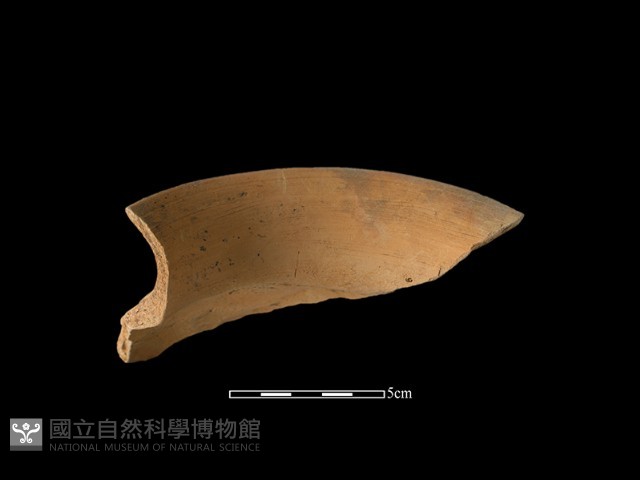 陶罐藏品圖，第1張