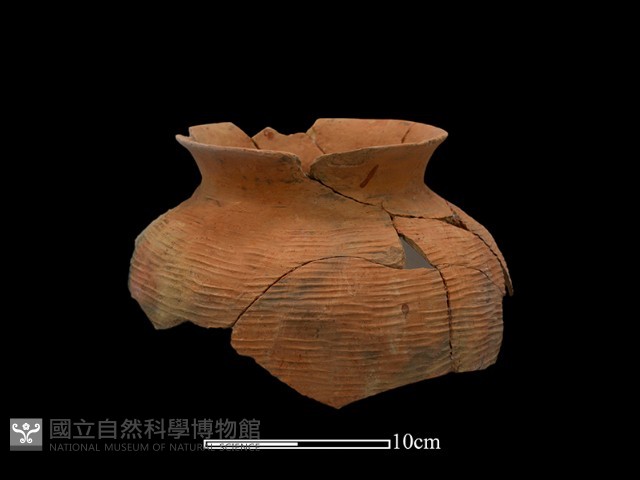 陶罐藏品圖，第1張
