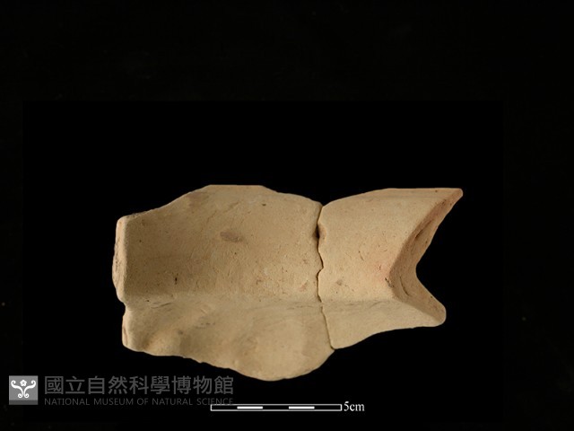 陶罐藏品圖，第1張
