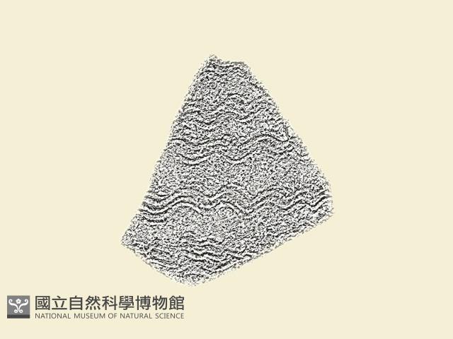 陶片藏品圖，第2張