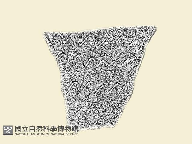 陶片藏品圖，第2張