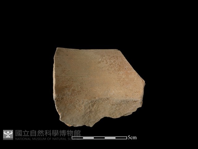 陶罐藏品圖，第2張