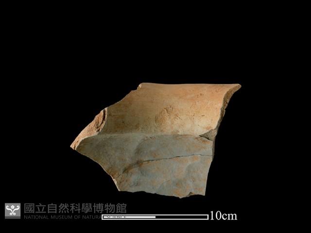 陶罐藏品圖，第1張