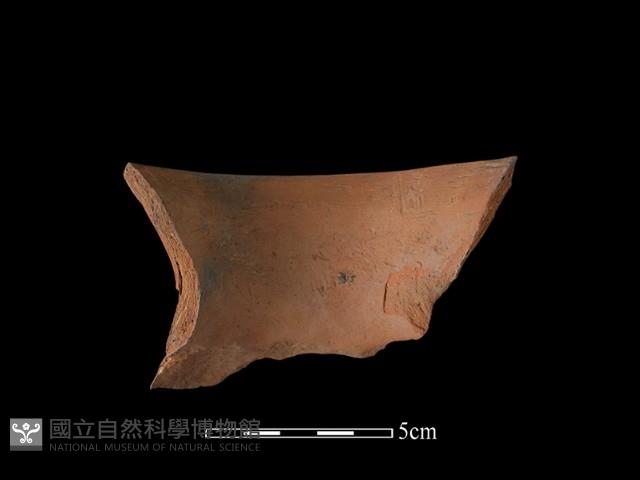 陶罐藏品圖，第1張