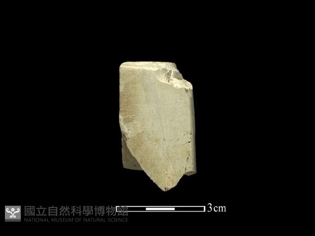 錛鑿形器藏品圖，第2張