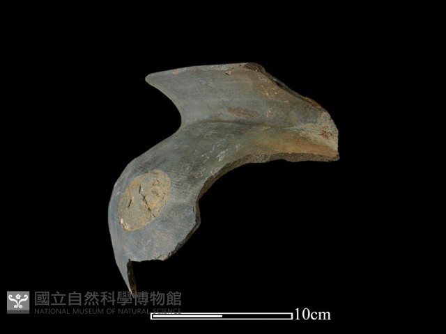 陶罐藏品圖，第2張