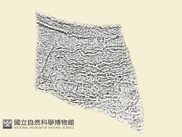 陶片藏品圖，第1張