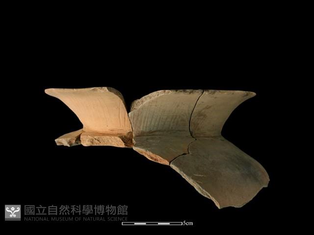 陶罐藏品圖，第3張