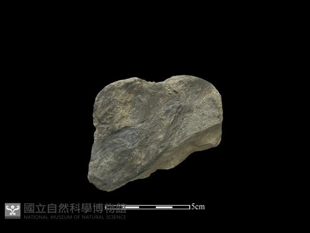 斧鋤形器藏品圖，第2張