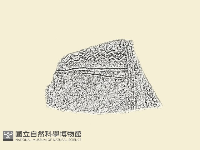 陶片藏品圖，第1張