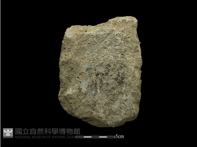 斧鋤形器藏品圖，第1張