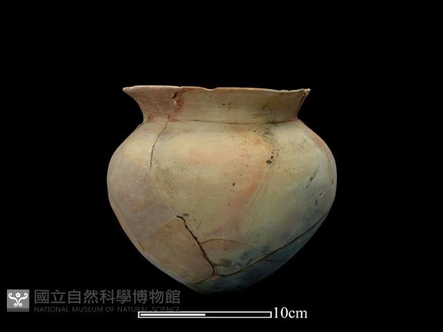 陶罐藏品圖，第3張