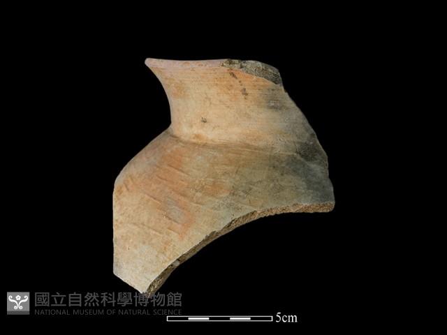 陶罐藏品圖，第1張