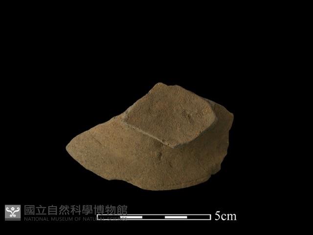 陶片藏品圖，第3張