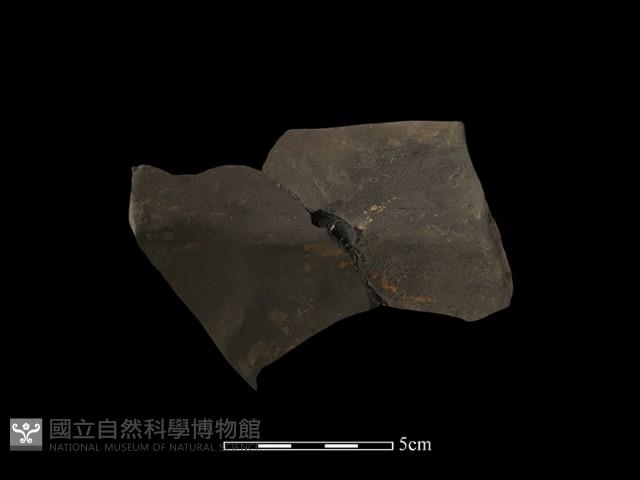 陶罐藏品圖，第2張