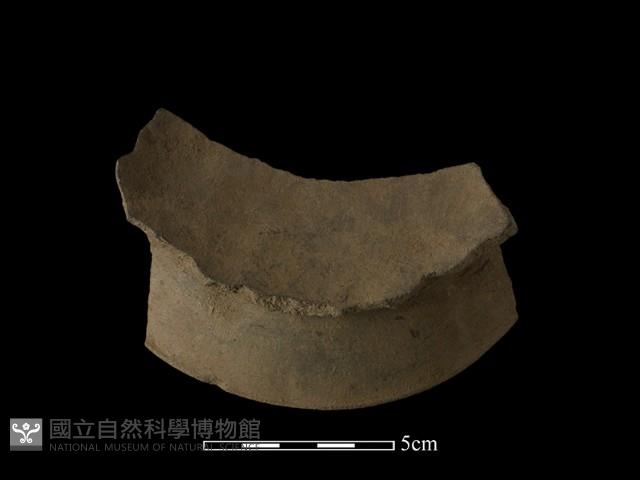 陶片藏品圖，第2張