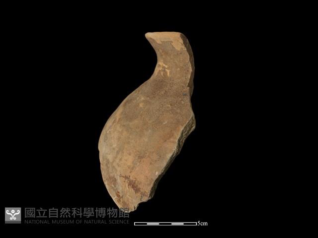 Accession Number:NSK-2014-009 Collection Image, Figure 2, Total 2 Figures