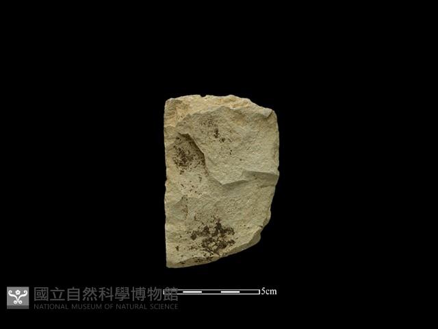 斧鋤形器藏品圖，第1張