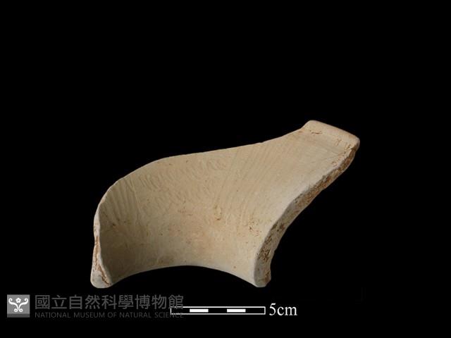 Accession Number:NSK-2012-259 Collection Image, Figure 1, Total 2 Figures