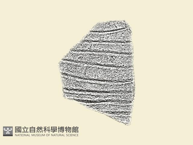 陶片藏品圖，第2張