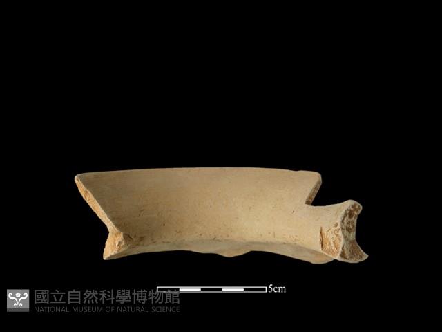 陶罐藏品圖，第1張