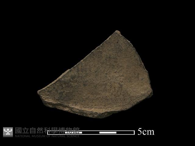 陶片藏品圖，第2張