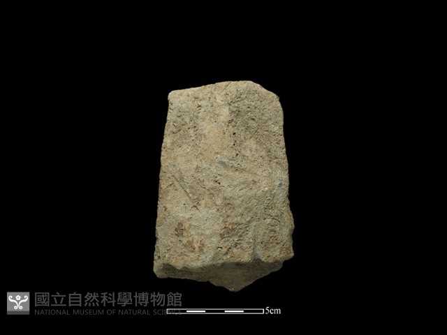 斧鋤形器藏品圖，第2張