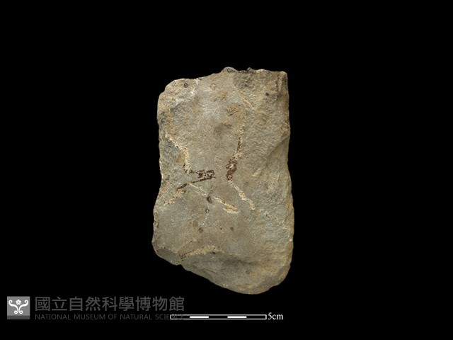 磨製斧鋤形器藏品圖，第1張