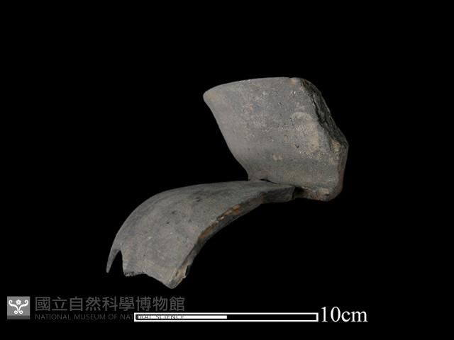 Accession Number:NSK-2012-189 Collection Image, Figure 1, Total 2 Figures