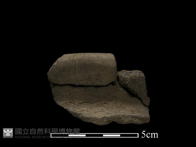 陶片藏品圖，第2張