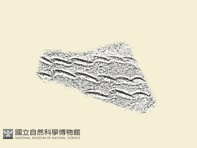 陶片藏品圖，第2張