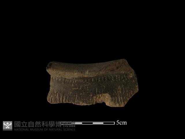 陶罐藏品圖，第1張