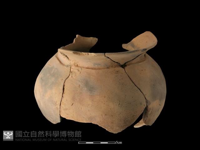 陶罐藏品圖，第1張