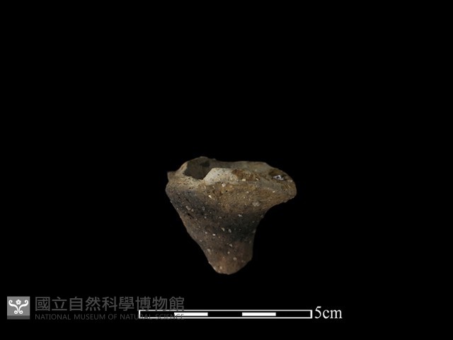 鬲足藏品圖，第2張