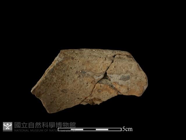 陶片藏品圖，第1張