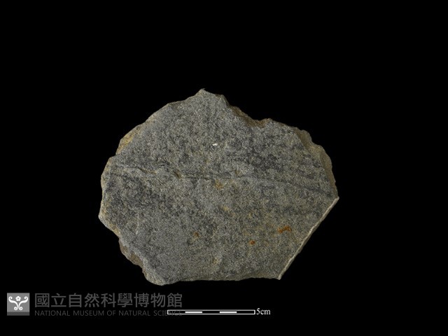 帶加工痕石材藏品圖，第1張