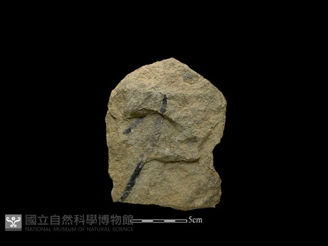 斧鋤形器藏品圖，第1張