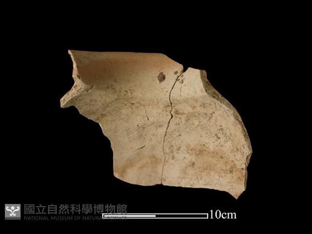 陶罐藏品圖，第1張