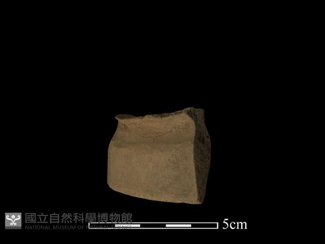 陶片藏品圖，第3張