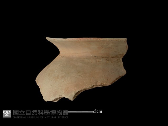 陶罐藏品圖，第3張