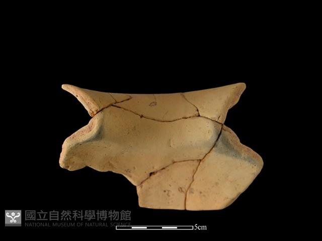 陶罐藏品圖，第2張