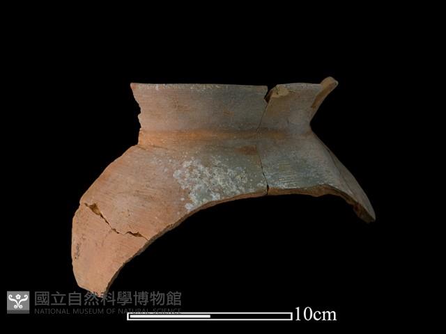 Accession Number:NSK-2012-163 Collection Image, Figure 2, Total 2 Figures