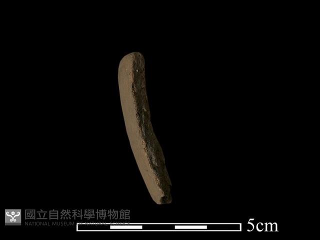 陶缽藏品圖，第3張