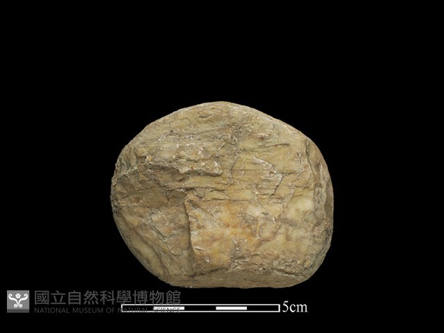 石球藏品圖，第2張