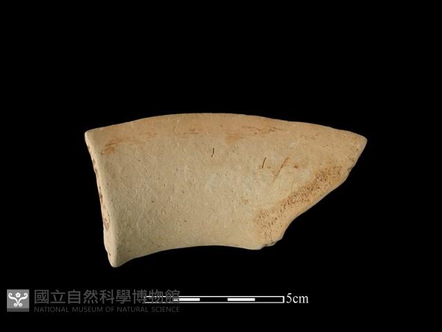 陶罐藏品圖，第1張