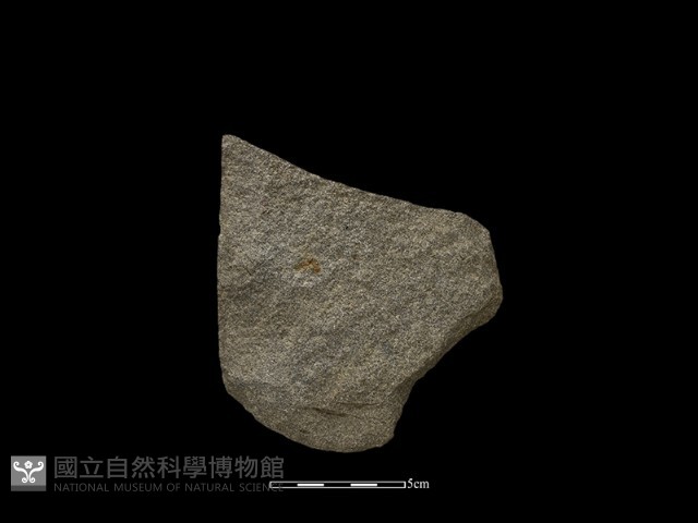 斧鋤形器藏品圖，第2張