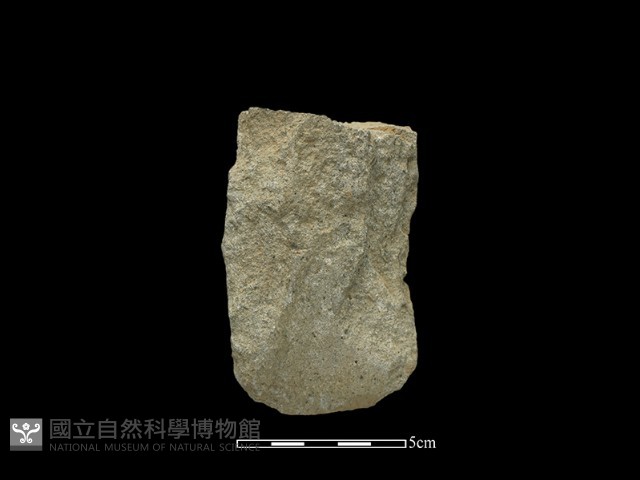 磨製斧鋤形器藏品圖，第2張