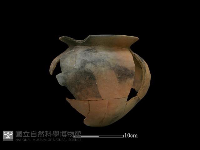 陶罐藏品圖，第1張